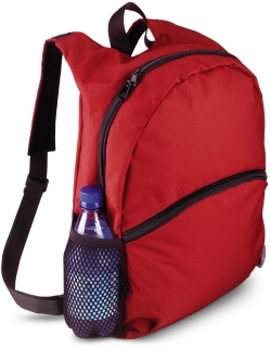 Daytripper Backpack