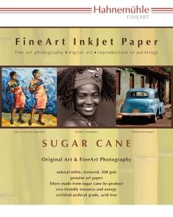 Sugar Cane