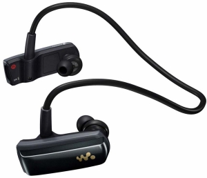 SONY NWZ-W252 Walkman